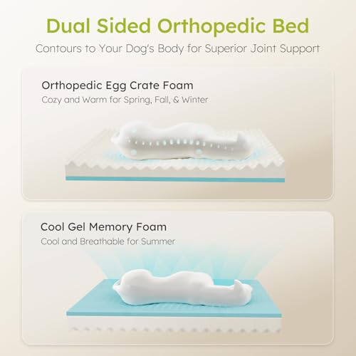 Jumbo Dog Bed for Extra Large Dogs (Brown / Jumbo(45"L x 35"W x 9.5"Th))