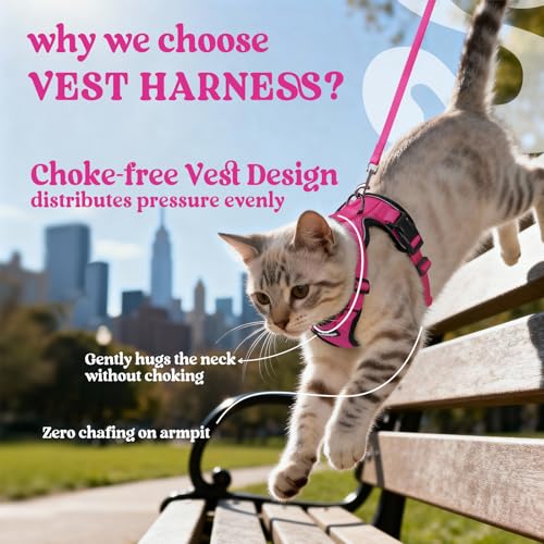 Cat Harness and Leash Set (Xs / Rose Red)