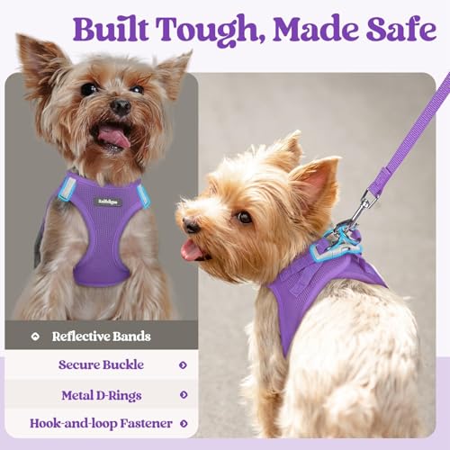 Dog Harness Medium Sized and Leash Set (Purple / M (chest: 16 - 18.5"))