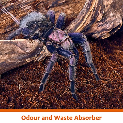 2 Pack Natural Coconut Fiber Substrate (2 Pack)
