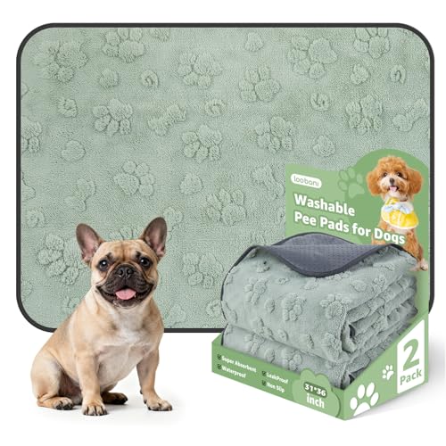 Washable Pee Pads for Dogs (Green Dog Element / 31"x36"(Pack of 2))