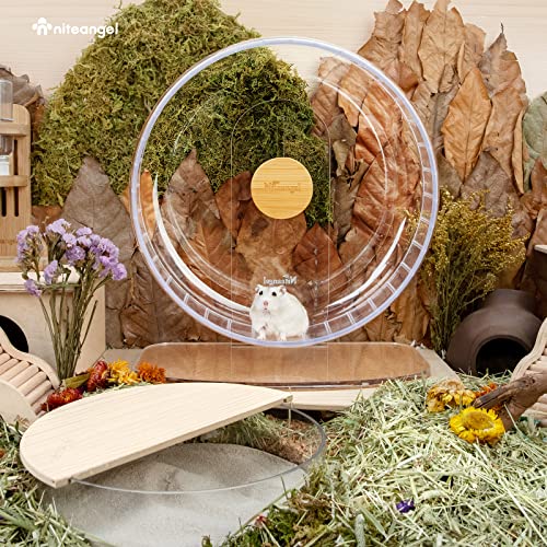 Super Silent Hamster Exercise Wheel (Extra Large / Transparent)