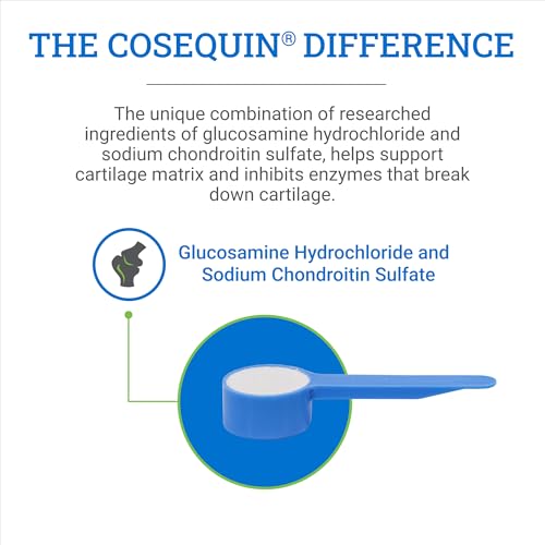Nutramax Cosequin Original Horse Joint Health Supplement (Powder / 700 grams)