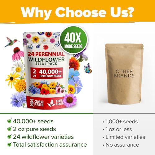 24 Wildflower Variety Mix 60
