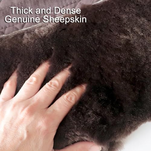 Brown Dressage Saddle Pad Sheepskin Lambskin Wool Fleece Horse Pad (Brown)