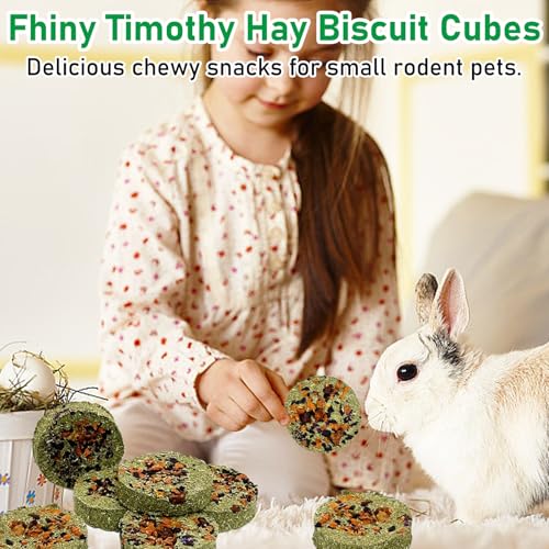24 PCS Rabbit Chew Toys