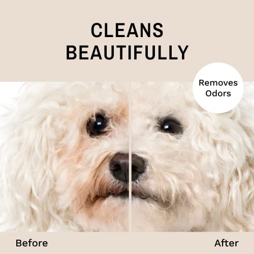 Tear Stain Facial Cleanser for Dogs and Cats. Washes Away Crusty Eye Debris (128 fl. oz.)