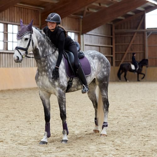 Adepto Padded All Purpose Quilted Equestrian Saddle Pad for Horses with Two (Blackcurrant Purple / Horse)