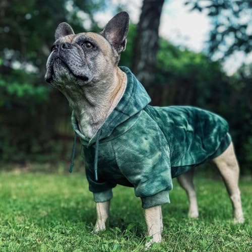 Dog Hoodie Buttery (Green Skydye / 5XL)