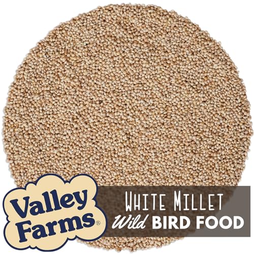 White Millet Wild Bird Seed 5 LB 2 (5 Pound (Pack of 2))