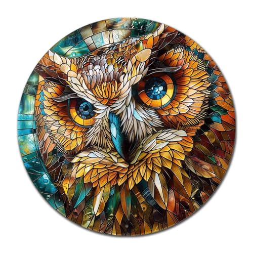 Metal Sign Tin Sign Circular Stained Glass Owl Bathroom Signs Decor For Home Decor 8×8 Inches (8×8 Inches / Owl-1)