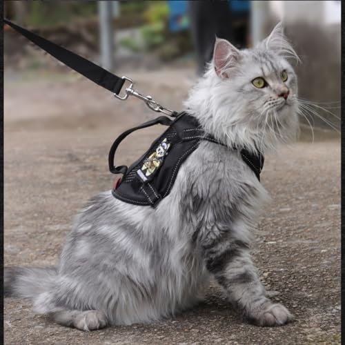 Cat Harness and Leash Set for Walking Escape Proof Adjustable Reflective Large Cat Tactical Harness with Patches Breathable Summer Vest Soft Mesh Padding Handle Easy to Control (Black / M)