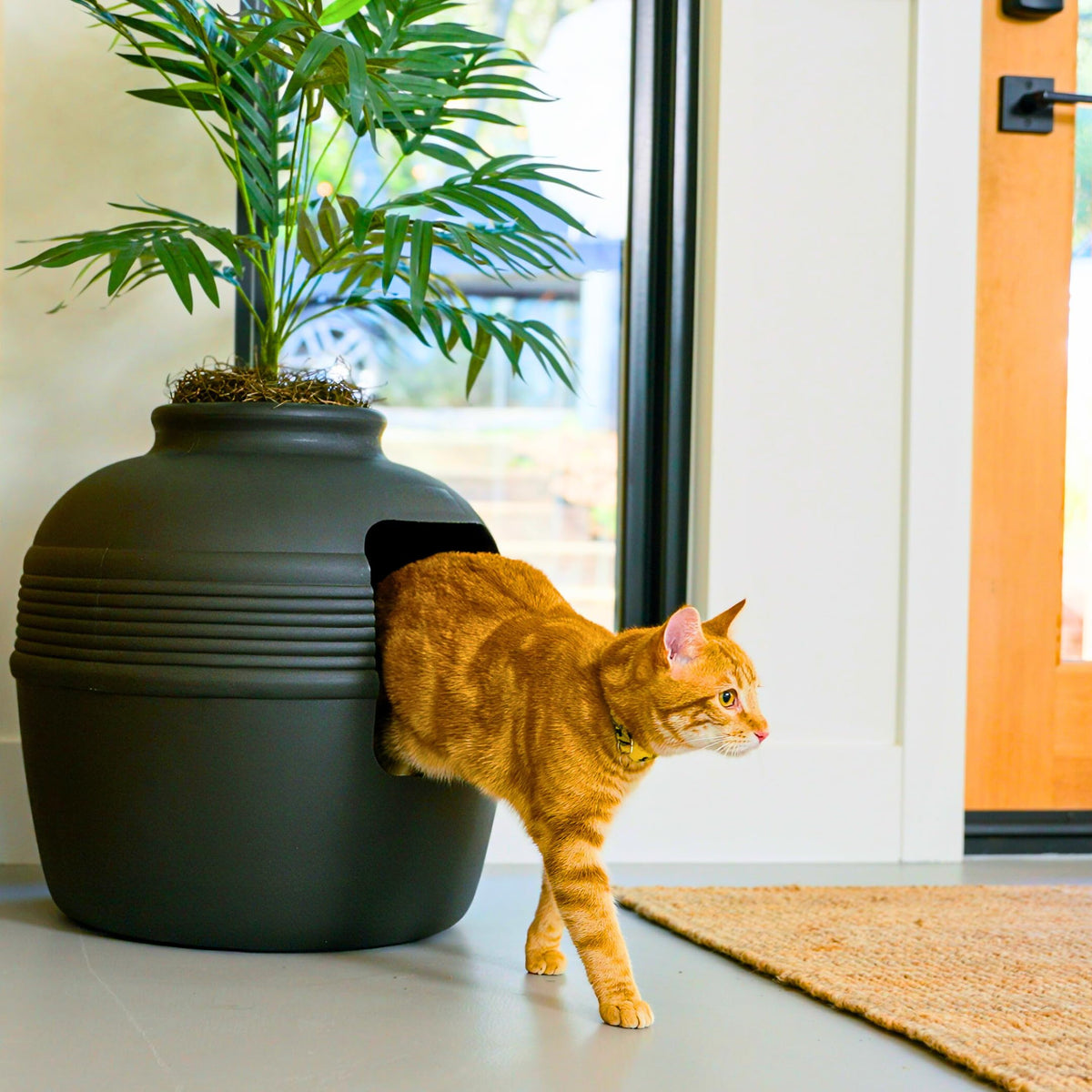 Original Hidden Litter Box Planter (Palm Plant / Base Kit / Charcoal Black)