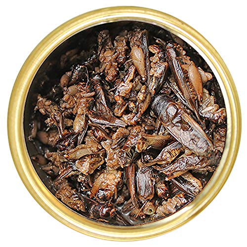 Canned Crickets