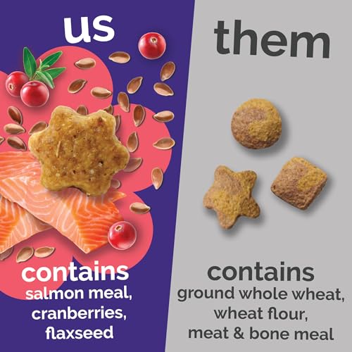 Crunchy Cat Treats (2.5 Ounce (Pack of 1) / Salmon & Cranberry)
