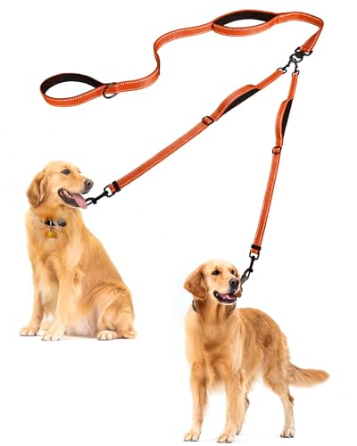 Double Dog Leash (Orange)