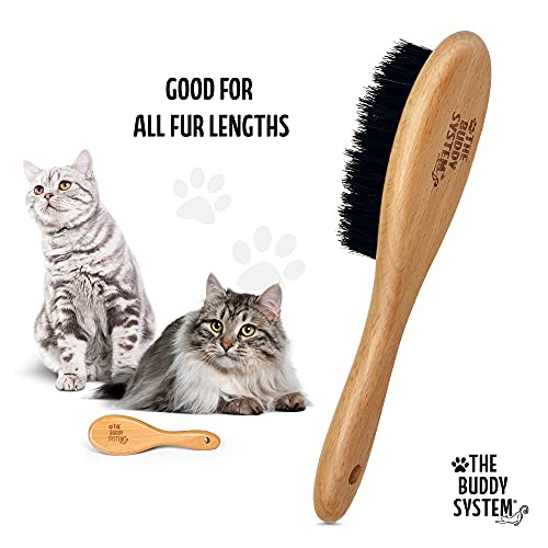 Soft Cat Brush with Boar Bristles (1 Count (Pack of 1))