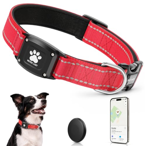 GPS Dog Collar with Tracker (Red / XS(10.5''-13.5''))