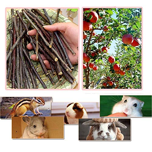 500g Apple Sticks for Small Animals