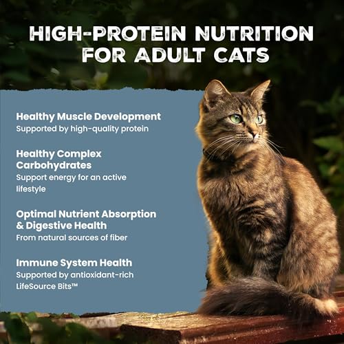 Wilderness Salmon Adult Dry Cat Food (11 Pound (Pack of 1))