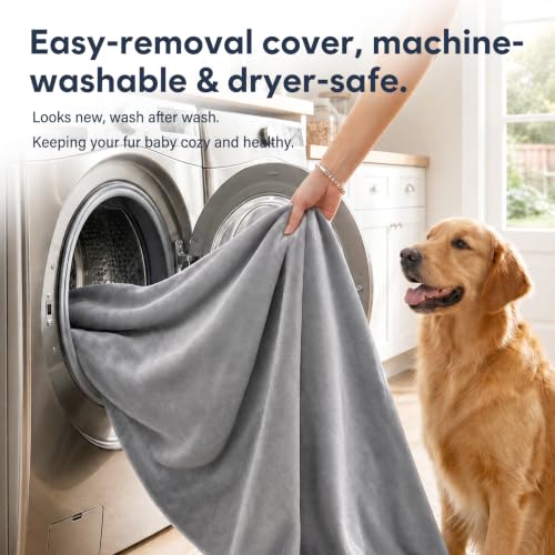 Super Soft Medium Dog Bed (32.0"L x 24.0"W x 3.0"Th / Grey)