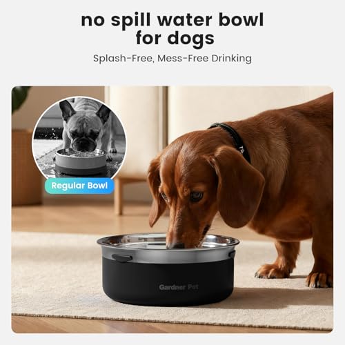 Dog Water Bowl Stainless Steel Dog Bowl (Black / Small (2L))
