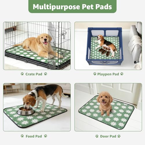 Extra Large Whelping Pad (Green Daisy / 48"x48"(Pack of 2))