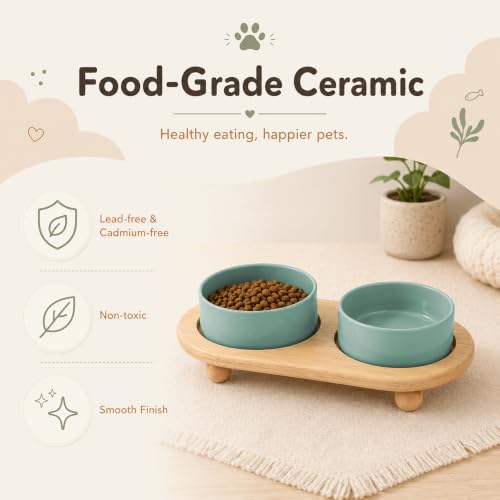 Raised Cat Bowl 5.1” Elevated Ceramic Cat Food and Water Bowl Set (Light Green)