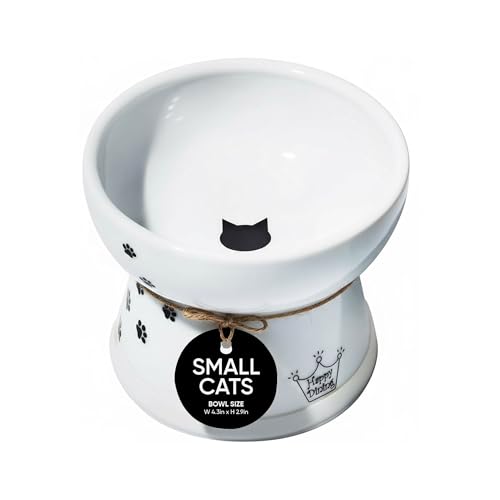 Necoichi Porcelain Ceramic Elevated Cat Food Bowl (Cat / Regular)