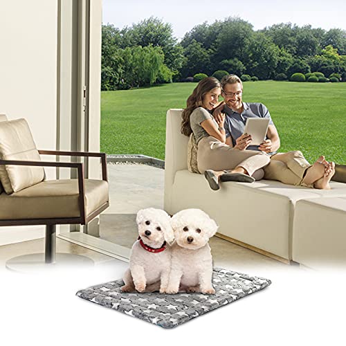 Fancy Dog Crate Pad (Medium)