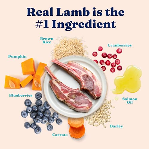 Indoor Lamb Dry Cat Food (4 Pound)