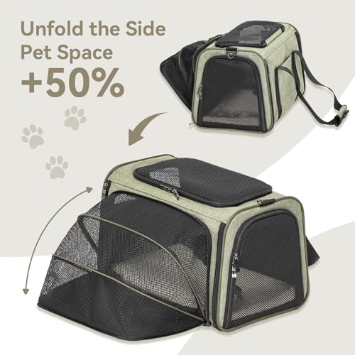 Medium Expandable Cat Carrier for Air Travel (17.0"L x 11.0"W x 11.0"H / Green)