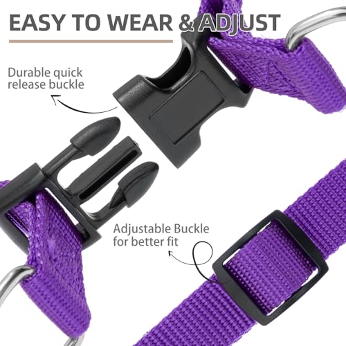 No Pull Dog Harness Small Sized Step (Purple / X-Small)
