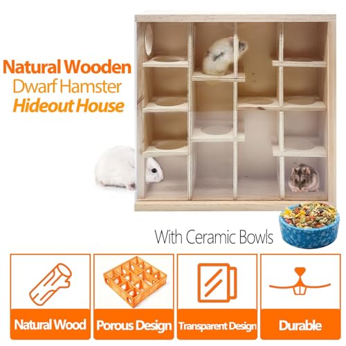 Wooden Hamster Tunnel Maze with Cover (Transparent-top hamster hideaway)