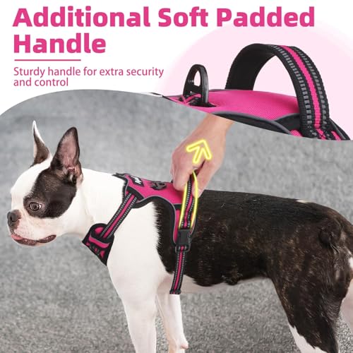 No Pull Dog Harness for Large (Fuschia / X-Large)