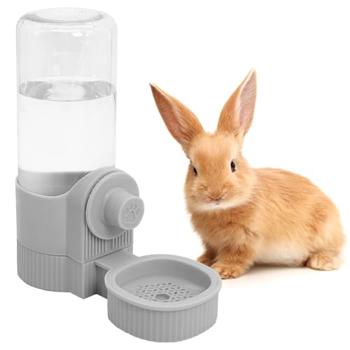 Rabbit Water Bottle (Grey)