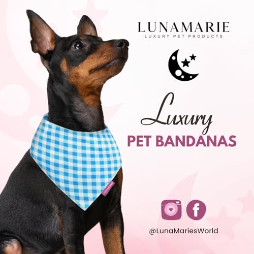 Luxury Dog Bandanas (Blue Checkers / Small)