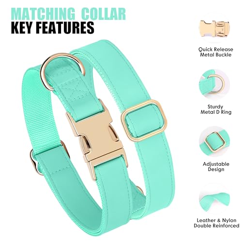 Soft PU Leather Dog Collar (M: Fit 13-19" Neck(20-55 lbs) / Mint Green)