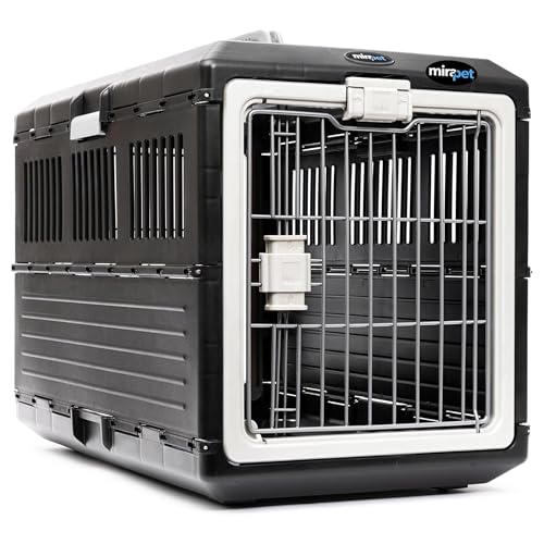 Collapsible Pet Carrier for Large Dogs & Cats (Large - Gray / without kit)