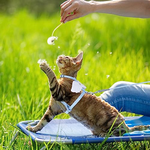 Cat Harness and Leash Set (Sky Blue)