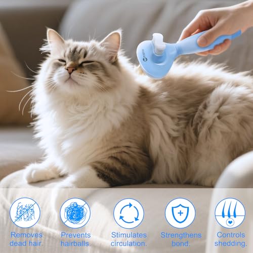 Cat Brush for Shedding (Blue)