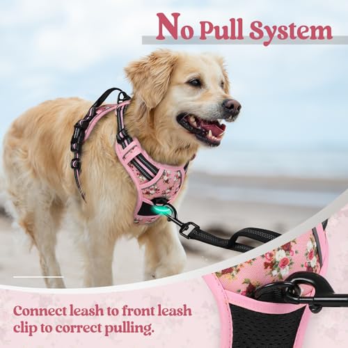 Dog Harness No Pull Medium Sized with 2 Leash Clips (Medium / Pink Rose)