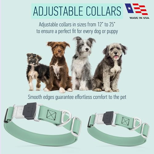 Biothane Waterproof Dog Collar with Herm Sprenger Black Stainless Steel Quick Release Buckle (W 3/4" x L 12"-19" / Sage Green)
