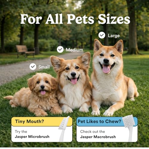 Dog Toothbrush (Blue (4-pack))