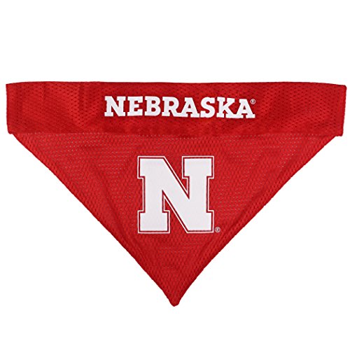 Collegiate Pet Accessories (Large/X-Large / Nebraska Cornhuskers)