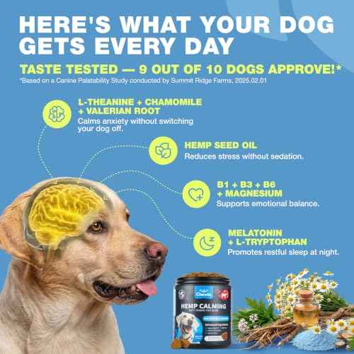 Hemp Calming Chews for Dogs Anxiety Relief (180 count / Beef Flavor Calming Chews)