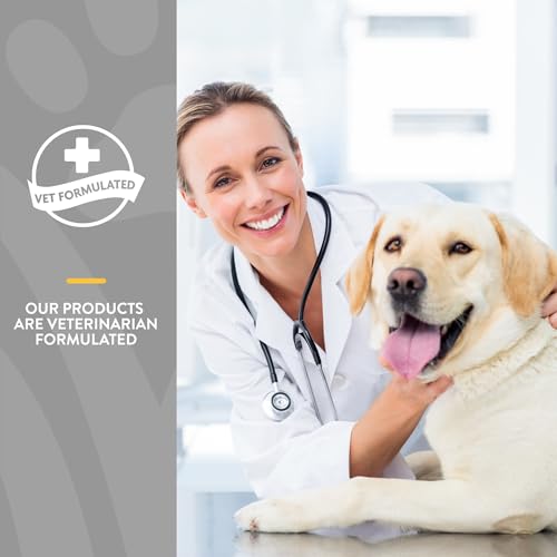 Quiet Moments Calming Aid Dog Supplement (120 Count (Soft Chews))