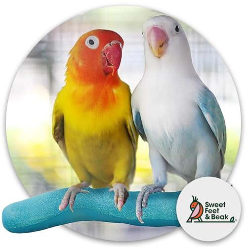 Safety Pumice Bird Perch (Purple / Large 12")