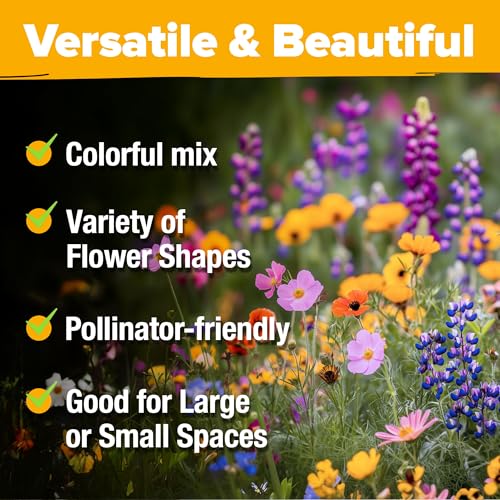 Texas Wildflower Mix 87
