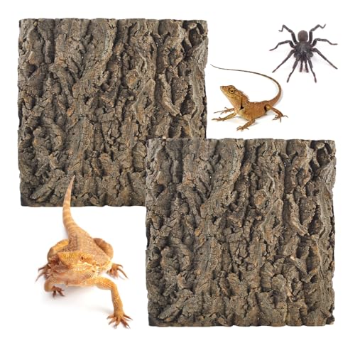 2PCS Natural Cork Terrarium Background (【11.81 x 11.81 In】)